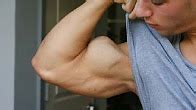 female biceps worship|Touch Hard BICEPS .